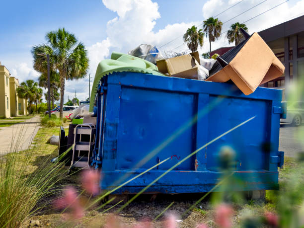 Debris Removal in Iselin, NJ